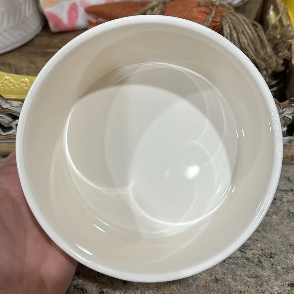 Gulp Rae Dunn Pet Dog or Cat Medium Bowl